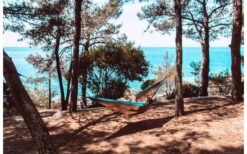 Amazonas Hängematte Silk Traveller XL Chili 10 Amazonas Hängematte Silk Traveller XL Chili -Campingwelt Verkauf 504047 3457167 1